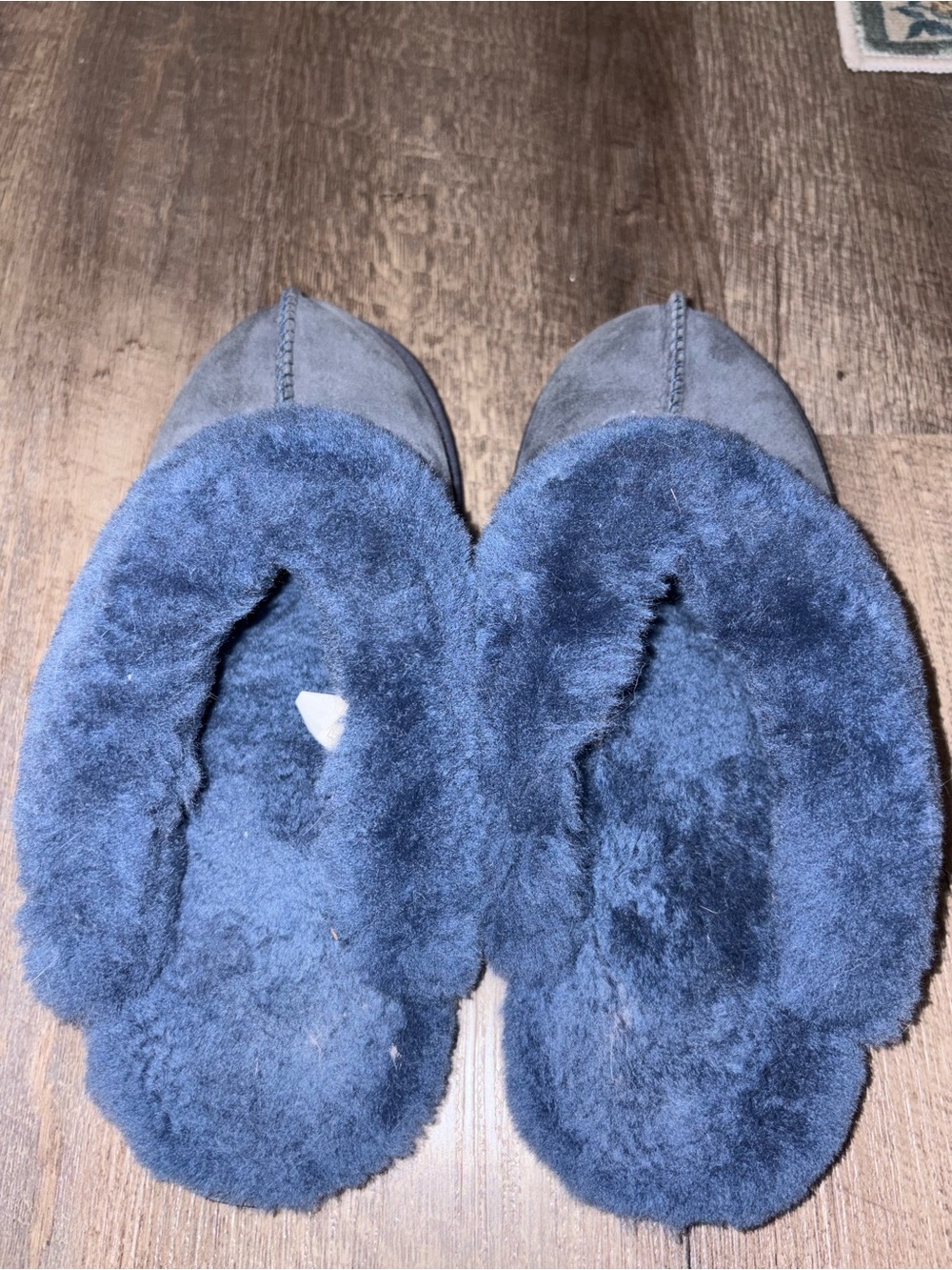 UGGs Plush Navy Women's Slip-On Slippers